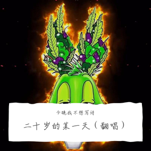 二十岁的某一天