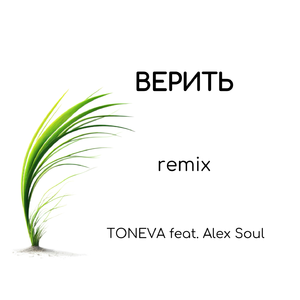 Верить (feat. Alex Soul) [Arseny Astashkin Remix]