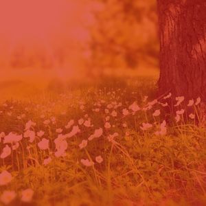 微妙的蒸气浴心情