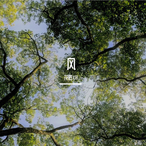 风