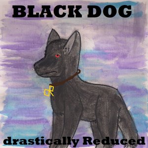 Black Dog