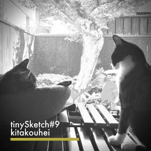 tinySketch #9
