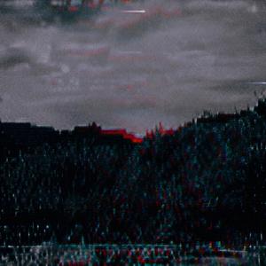 Blight