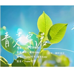 青声宇诺（青宇同人曲）