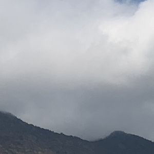 你是出卖感情的骗子