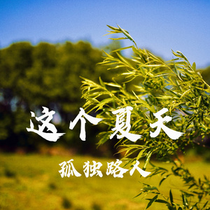 这个夏天