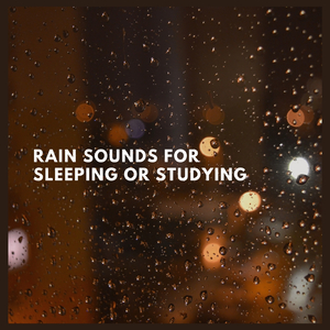 Rain Sounds for Sleeping or Studying (p35)