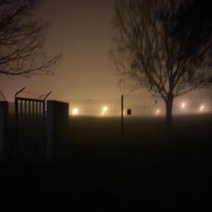 graveyard