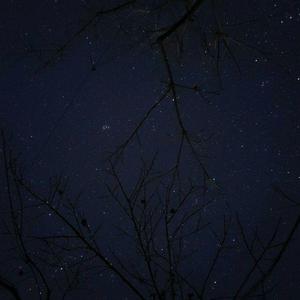 星星失眠（片段）（翻自 哈利Halleeee）