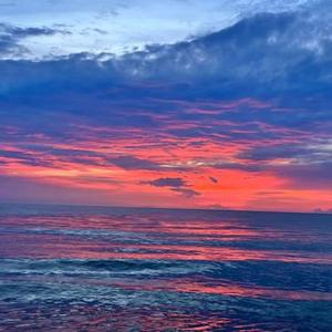 Velvet Skies