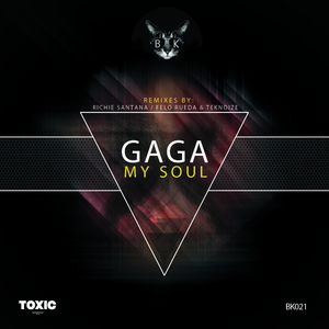 My Soul (Richie Santana Remix)