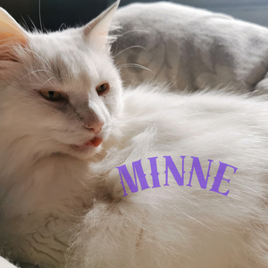 Minne