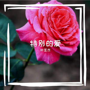特别的爱