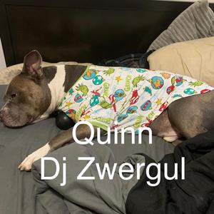 Quinn