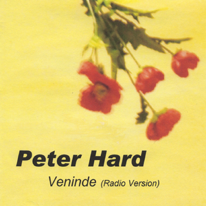 Veninde (Radio Version)