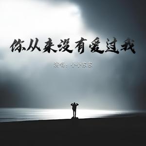 你从来没有爱过我