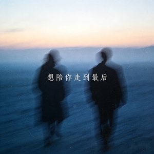 想陪你走到最后（伴奏）