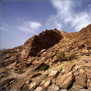 红军走过的地方