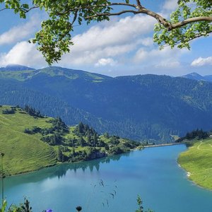 小河边钓鱼的惬意