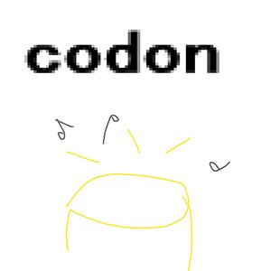 codon