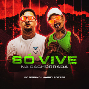 Só Vive na Cachorrada