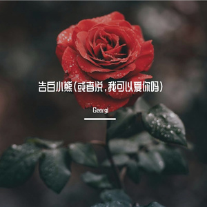 告白小熊（或者说，我可以爱你吗）