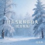什么雪能和你白头(低音炮版)
