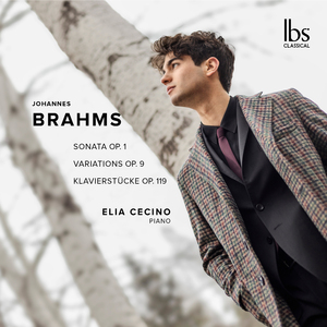 Variationen on a Theme by Robert Schumann, op.9:Variation 5. Allegro capriccioso