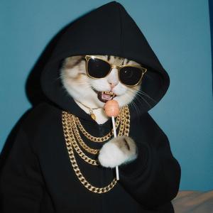 FRESH EN CLEAN (feat. MAAITJIE)