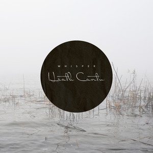 The Palm of Your Hand