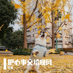 蝴蝶飞不顾沧海