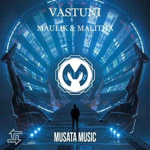 Vastuni (Original Mix)