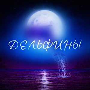 Дельфины