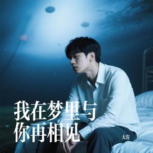 我在梦里与你再相见