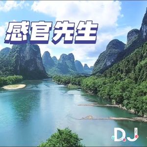 感官先生（DJ JA Remix）