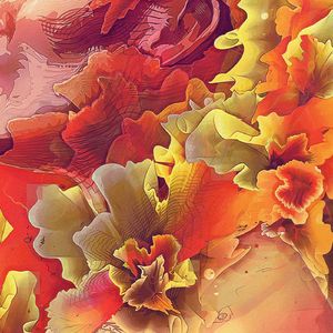 星语心愿（JERRY W）