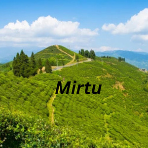 Mirtu