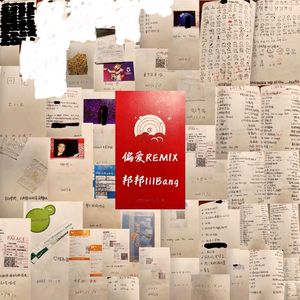 偏爱REMIX