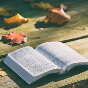 宾克斯的美酒 (爵士轻音乐)