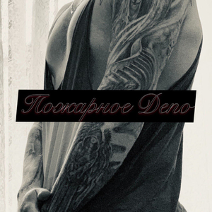 Сучки лёгкой кавалерии