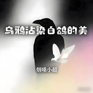 乌鸦沾染白鸽的美