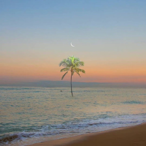 Fantasy（Cover.Alina Baraz）