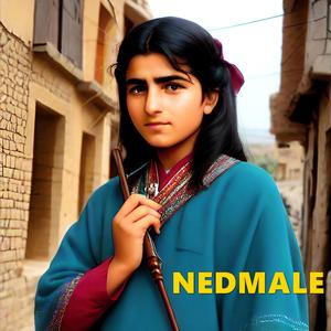 Nedmalê Kürtçe Halay Şarkı