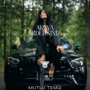 Araya Gidersiniz