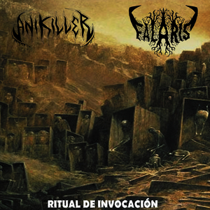 B D P (Bonus) Single 2021