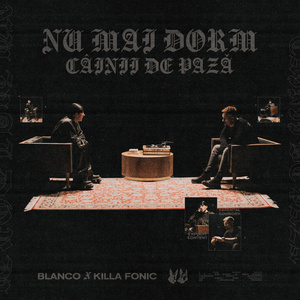 Nu mai dorm câinii de pază