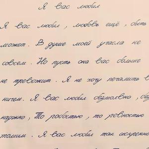 最后的人（ 刘倩楠版）