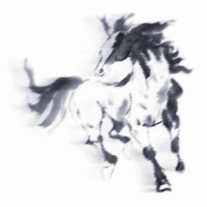 horseride