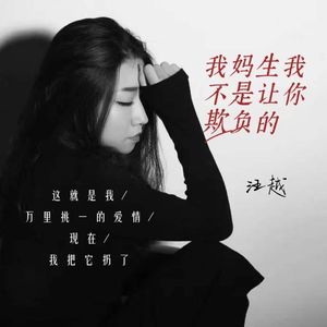 我妈生我不是让你欺负的