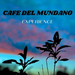 Experience